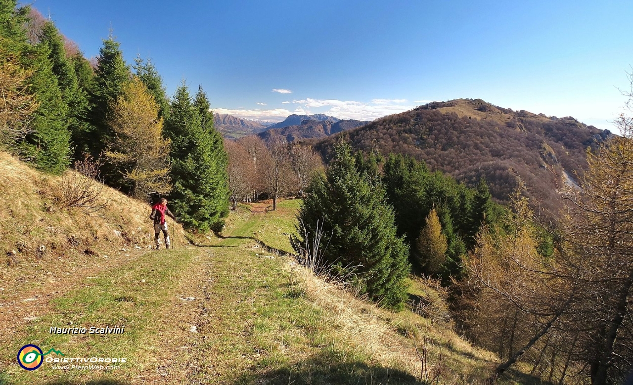 21 Uno sguardo ai Canti....JPG